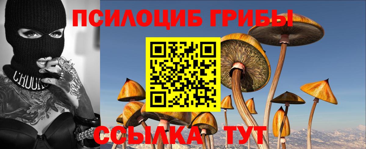 Псилоцибиновые грибы MAGIC MUSHROOMS  Вход с VPN  цена   Кызыл 