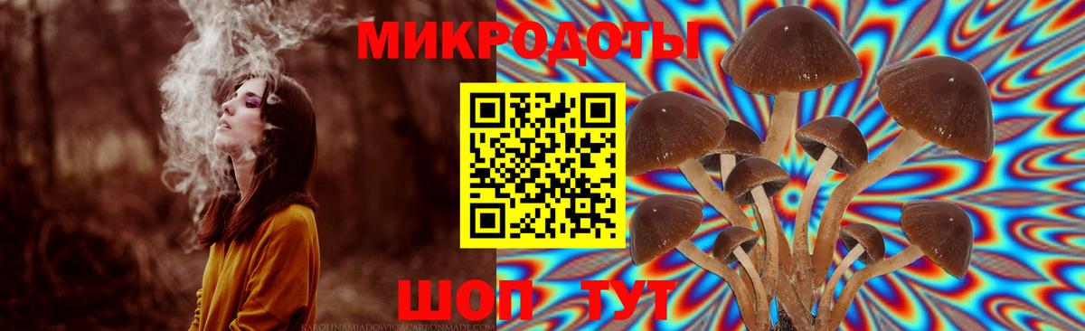 Галлюциногенные грибы MAGIC MUSHROOMS Кызыл